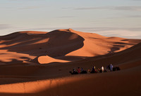 Riding camel in Sahara desert