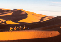 Riding camel in Sahara desert