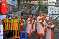 Buddhist nuns asking alms in Yangon, Myanmar