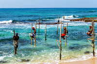 Koggala Stilt Fishing, Sri Lanka