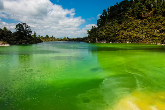 Lake Ngakoro, Wai-O-Tapu,  New Zealand