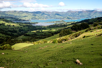 From Akaroa to Christchurch, New Zealand