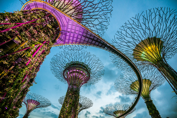 Super Trees in Marina Bay Garden, Singapore