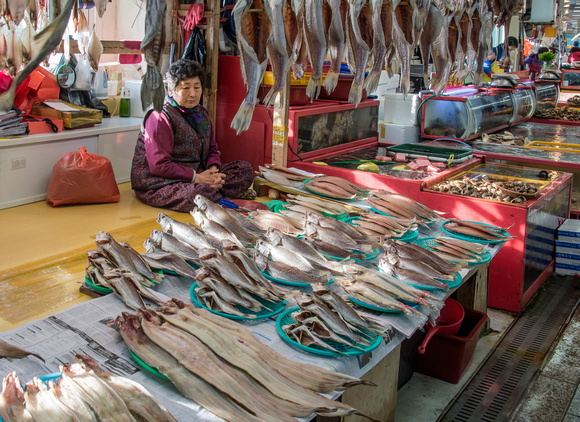 Fish market in Busan