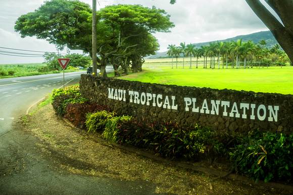 Maui Tropical Plantation, Maui, Hawaii