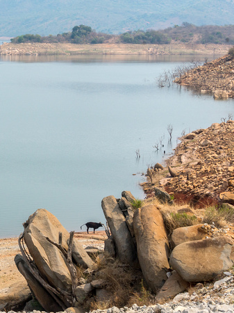 Reservoir  for Hydropower, Swaziland