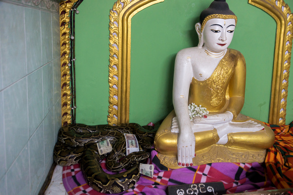 Snake Pagoda in Mandalay, Myanmar