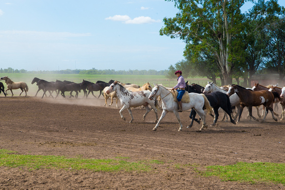 Santa Susana Ranch, BA, Argentina