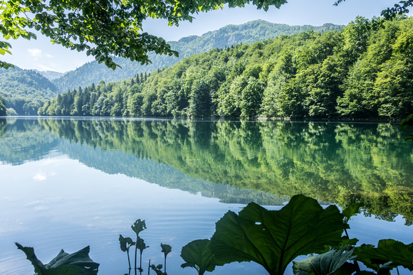 Biogradsko Lake, Montenegro