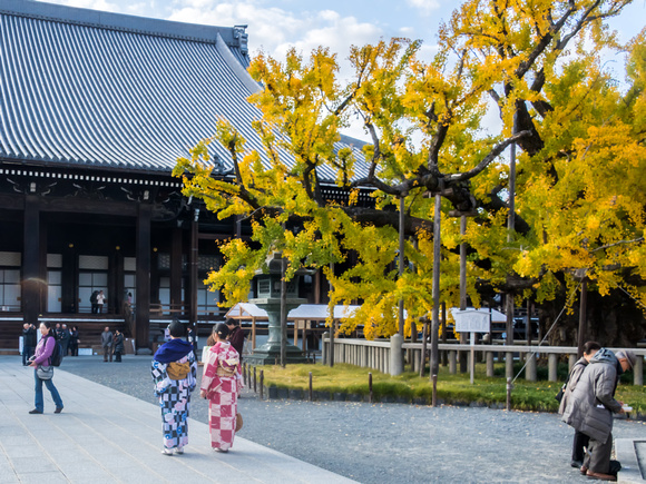 Kyoto 京都, Japan
