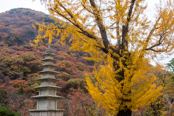 Beomeosa Temple 梵鱼寺, Fusan, Korea